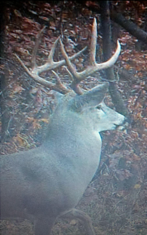 Screen shot 2020-09-30 at 10.40.42 am