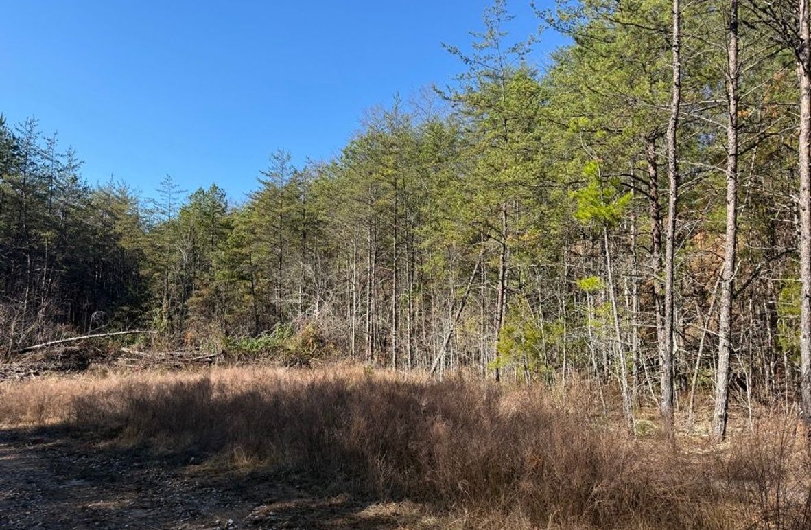 001 the south area along the roadway as you enter the property