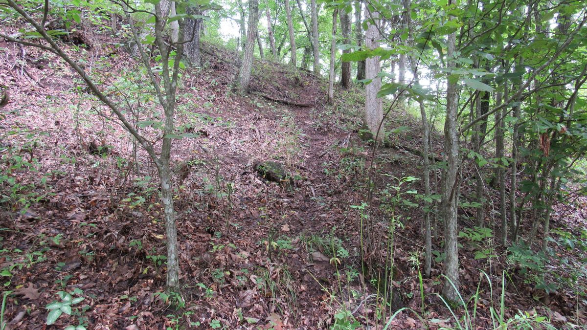 West Virginia Hunting Property With Electric On Site For Sale