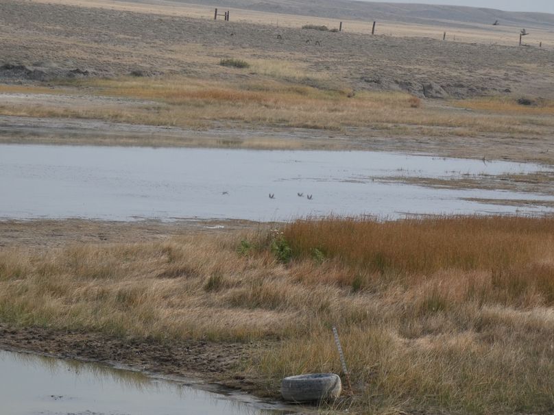 A59fefe6-55ed-4c9a-986a-498eae9e7595