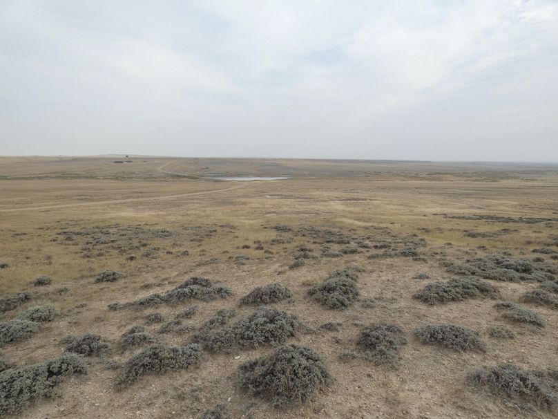 C436088a-c84d-43d5-992f-3f9bb673a63d