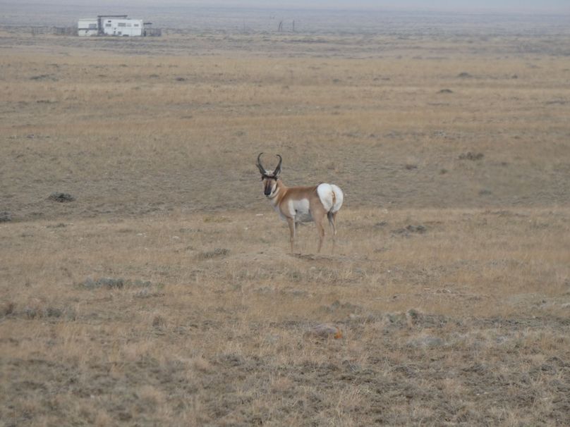 E57fa269-4087-4fb0-bee9-c363e1ab9908