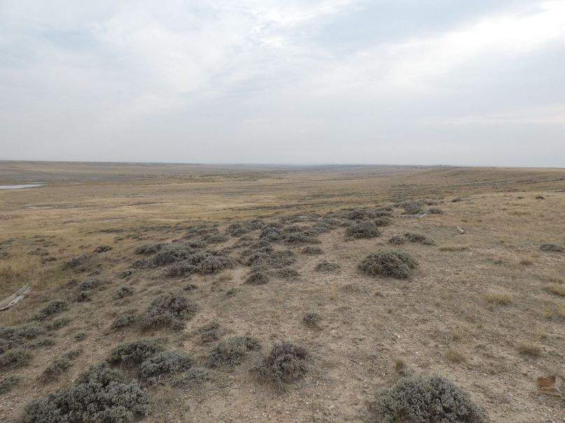 03dd1505-25ba-471b-8519-c7a41e2f8b55