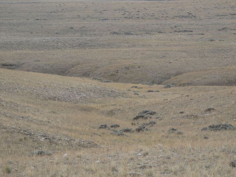 1469dd12-535e-43c1-9921-0209b44ca5eb