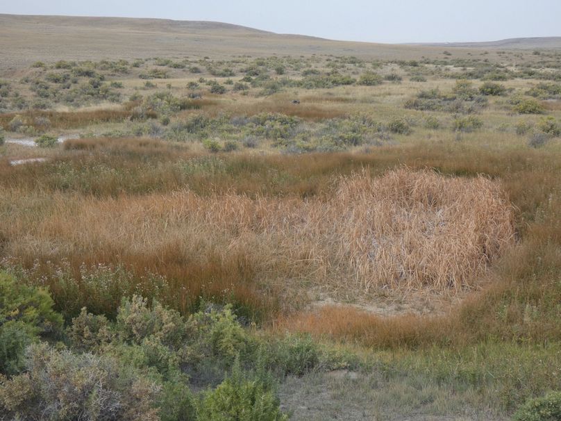 12dfc7a4-67a5-4deb-a070-c214fa527cd6