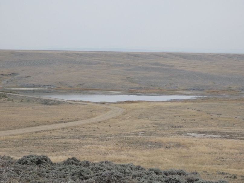 1a36fe86-bbdd-4868-b968-399e5ccaeee4