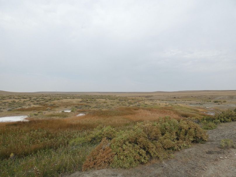 1a8f0ae0-415f-4980-836a-8bdf998b20c4