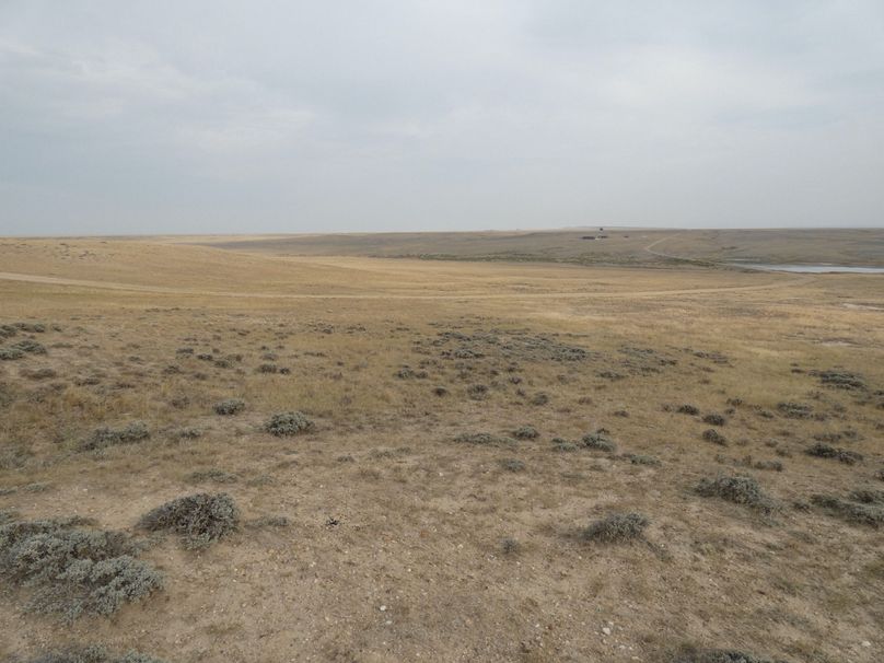 20d7769c-ca7d-47d8-b46a-005f5ed76bdd