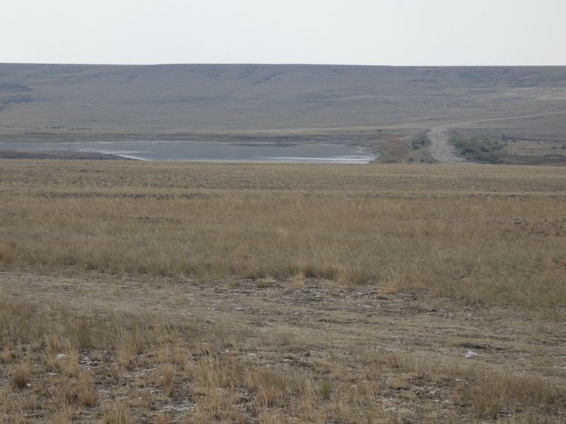 36981001-e09f-4d66-8729-e2ec91259074