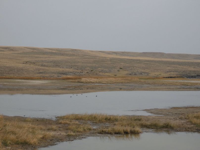 55ca9071-d651-4539-9ea5-588f7be56f64