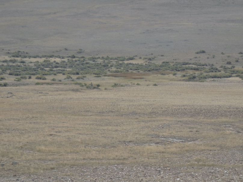 60a3cedc-5654-4129-abd6-61ed7281f690