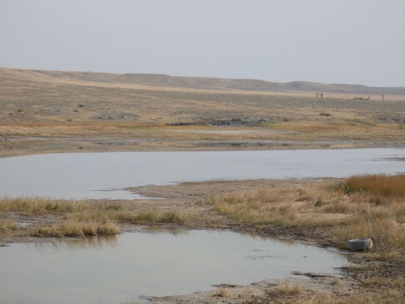 7c91a705-fccf-4f7c-ab3c-4d81707df824