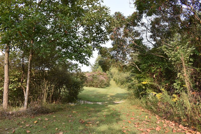 Unadjustednonraw thumb 6997