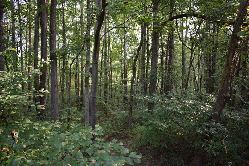 Unadjustednonraw thumb 699a