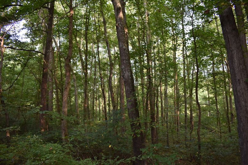 Unadjustednonraw thumb 699d