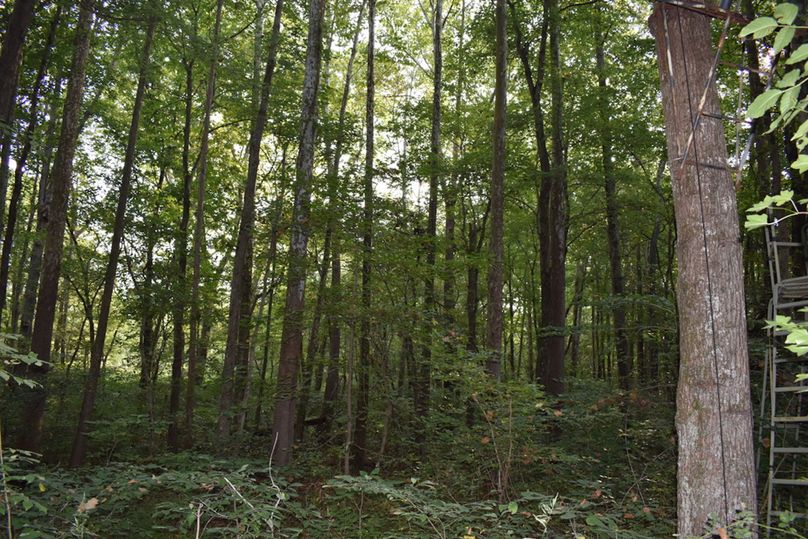 Unadjustednonraw thumb 699e