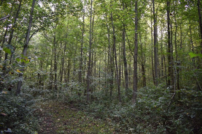 Unadjustednonraw thumb 699f