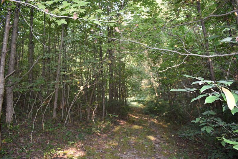 Unadjustednonraw thumb 69a0