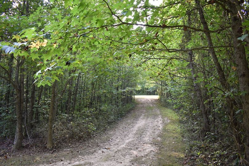 Unadjustednonraw thumb 69a1