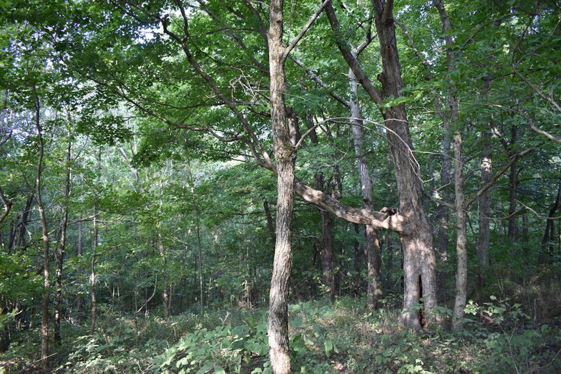 Unadjustednonraw thumb 69a2