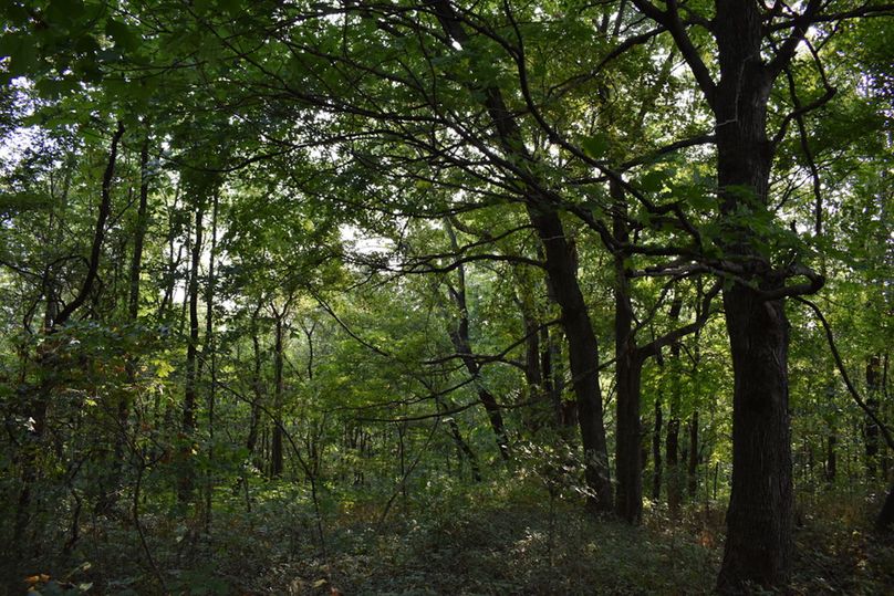 Unadjustednonraw thumb 69a3