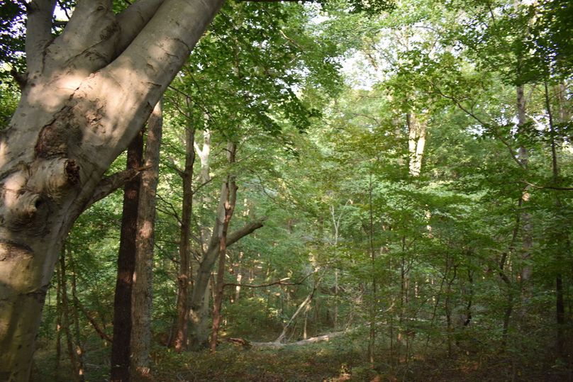 Unadjustednonraw thumb 69a4