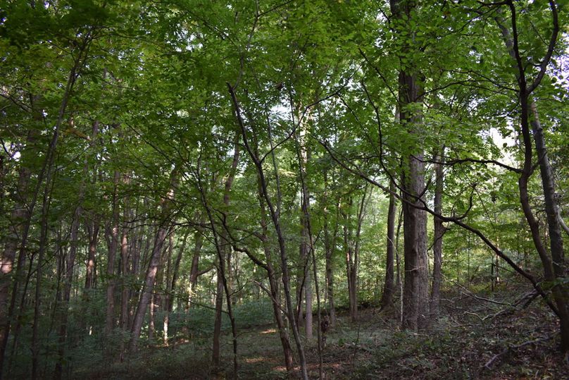 Unadjustednonraw thumb 69a5