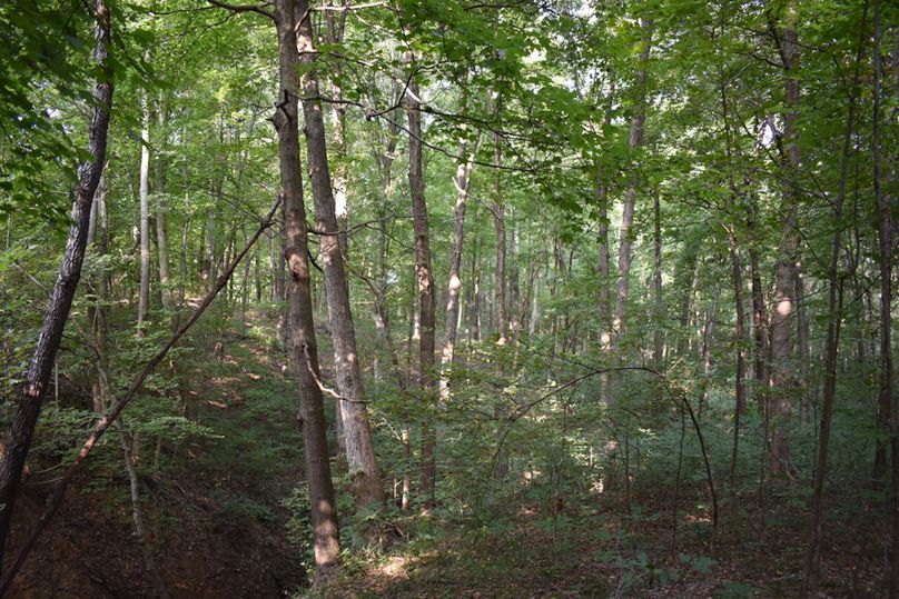 Unadjustednonraw thumb 69a6