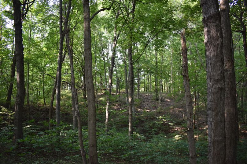 Unadjustednonraw thumb 69a7