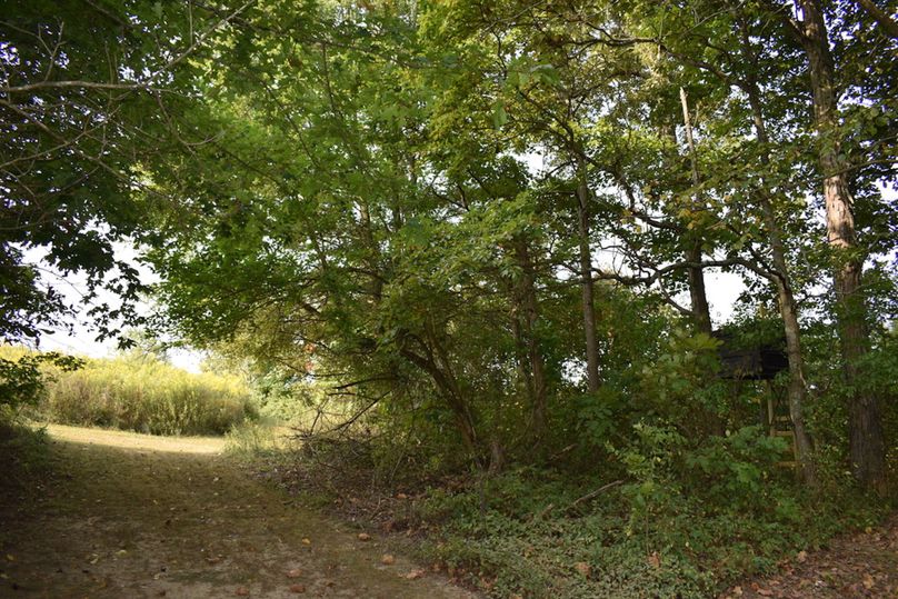 Unadjustednonraw thumb 69a9