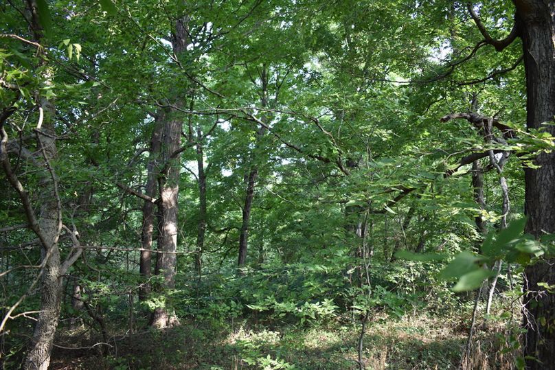 Unadjustednonraw thumb 69aa