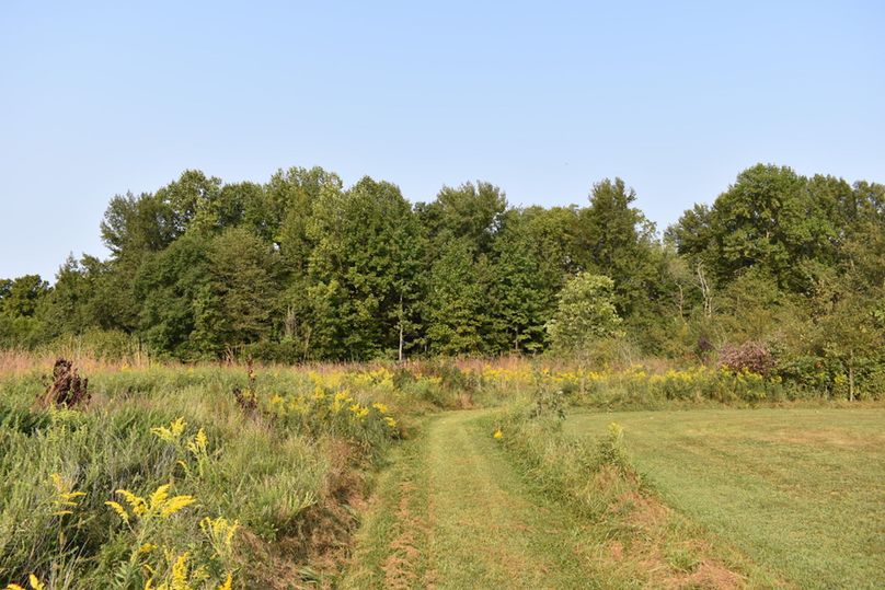 Unadjustednonraw thumb 69ad