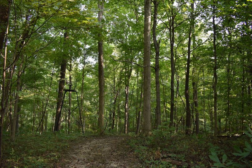 Unadjustednonraw thumb 69af