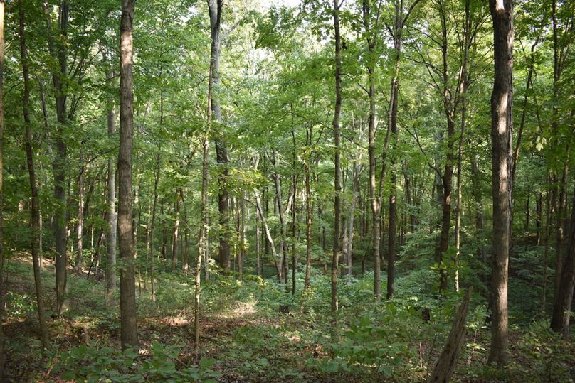 Unadjustednonraw thumb 69b0