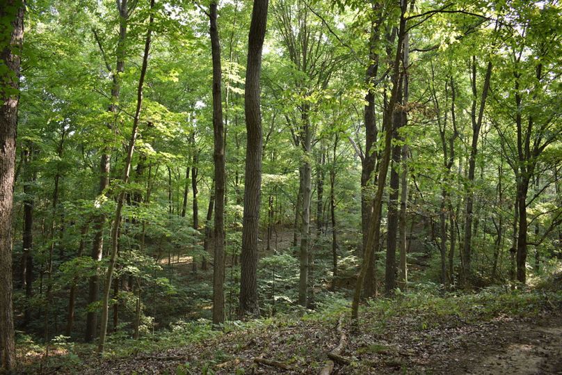 Unadjustednonraw thumb 69b1