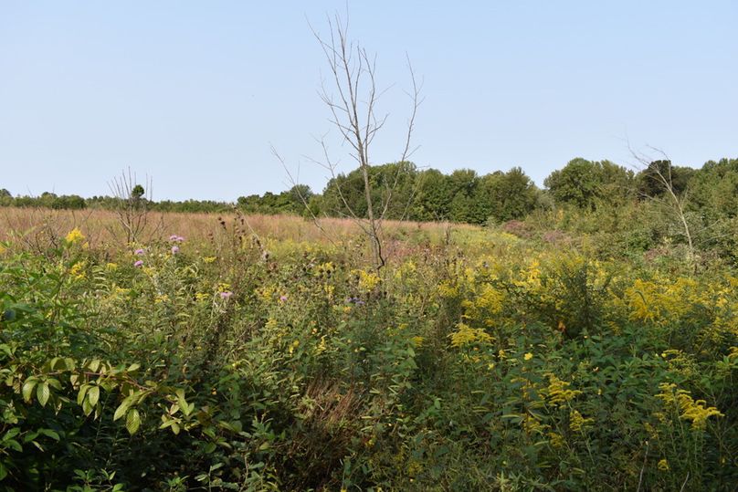 Unadjustednonraw thumb 69b4