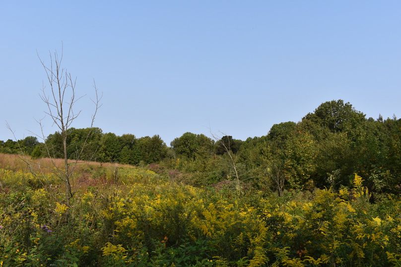 Unadjustednonraw thumb 69b5