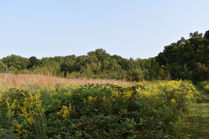 Unadjustednonraw thumb 69b6