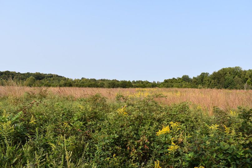 Unadjustednonraw thumb 69b7