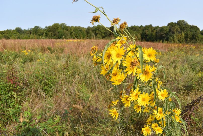 Unadjustednonraw thumb 69b8