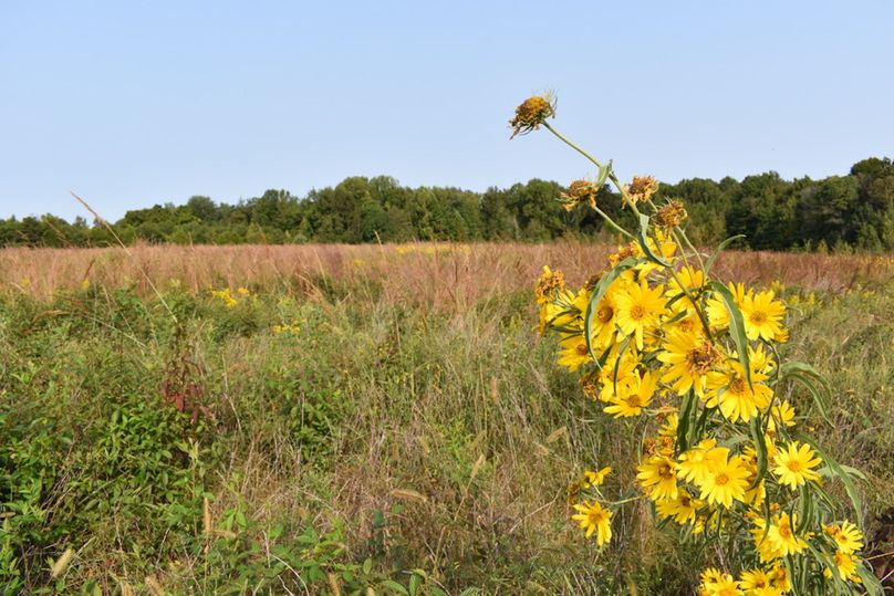 Unadjustednonraw thumb 69b9