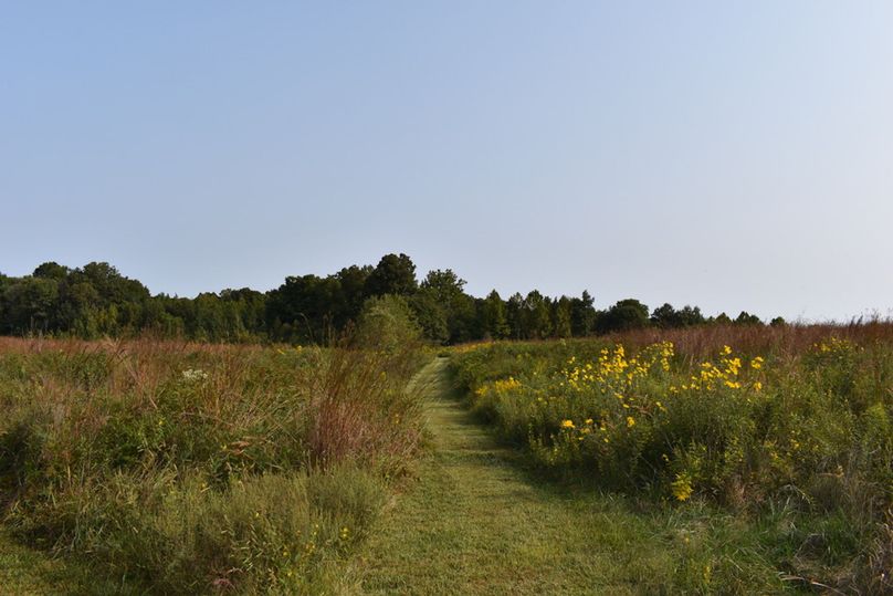 Unadjustednonraw thumb 69bb