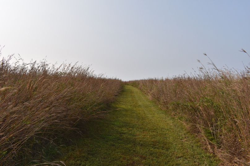 Unadjustednonraw thumb 69bc