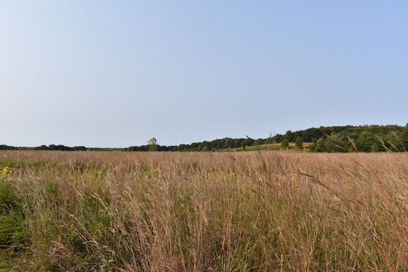 Unadjustednonraw thumb 69bd