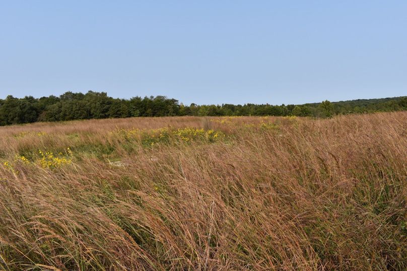 Unadjustednonraw thumb 69be