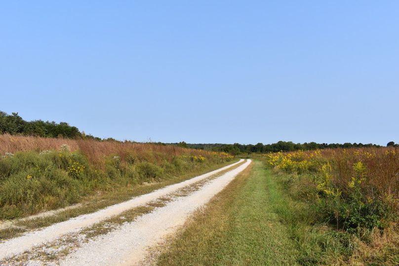 Unadjustednonraw thumb 69bf