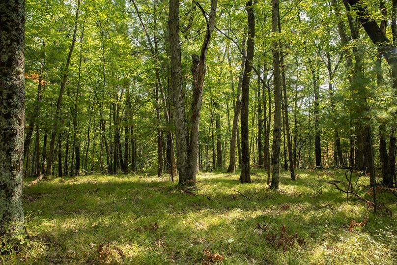 15 gorgeous ridgetops run throughout