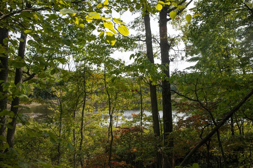 17 secluded waterfront surrounded by timber