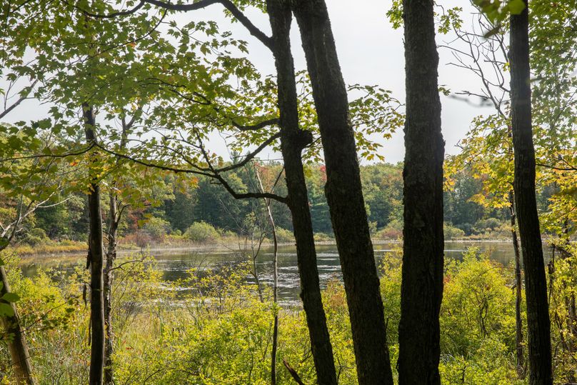 18 this is an outdoorsman s paradise!