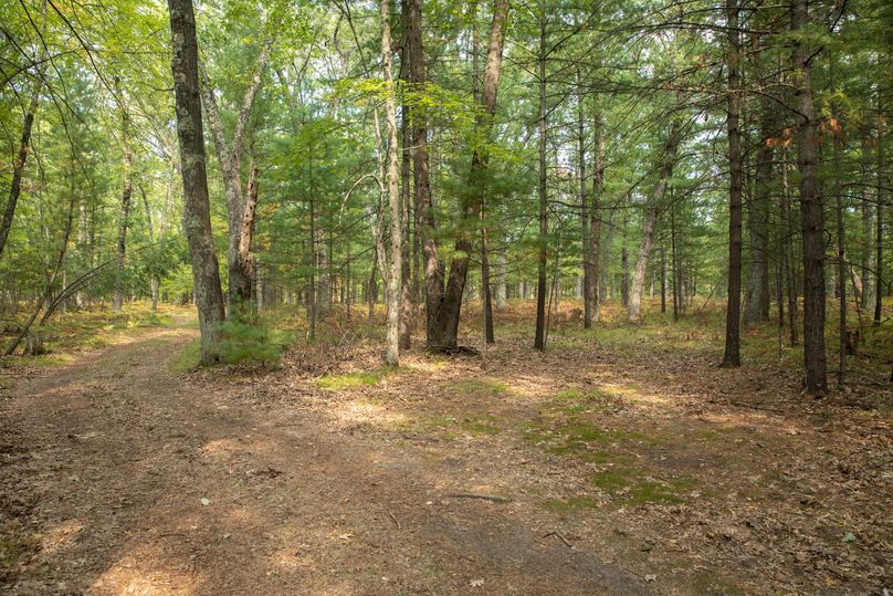 10 campsite near 6 mile rd.
